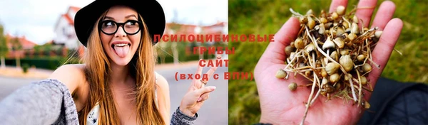 бутират Баксан